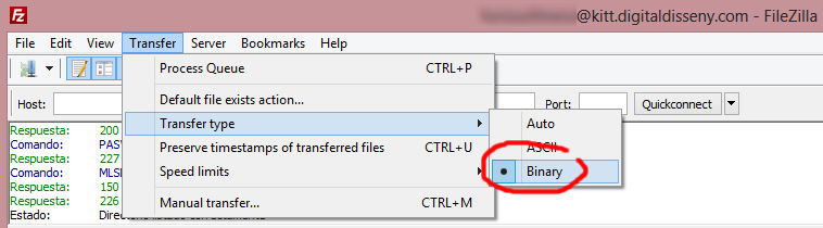 Filezilla menu option to set binary transfer mode